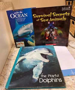Under the Ocean Survival Secrets of Sea Animals, The Playful Dolphins 