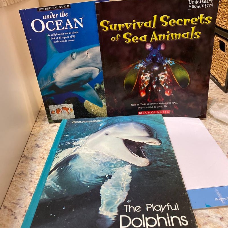 Under the Ocean Survival Secrets of Sea Animals, The Playful Dolphins 