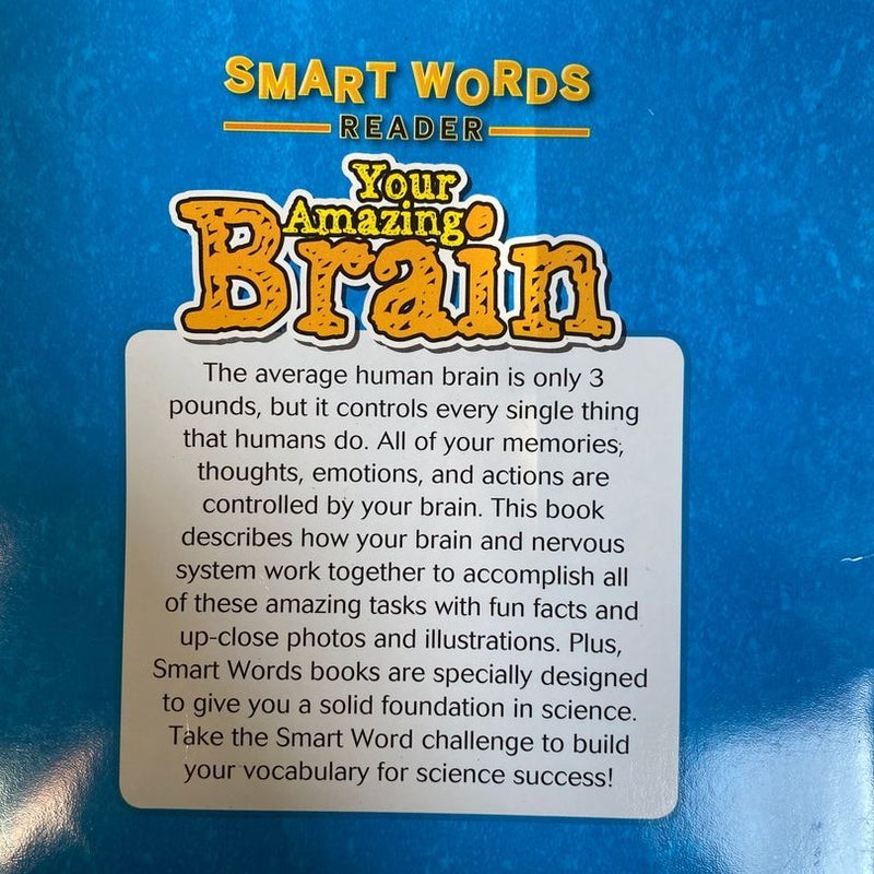 Your Amazing Brain