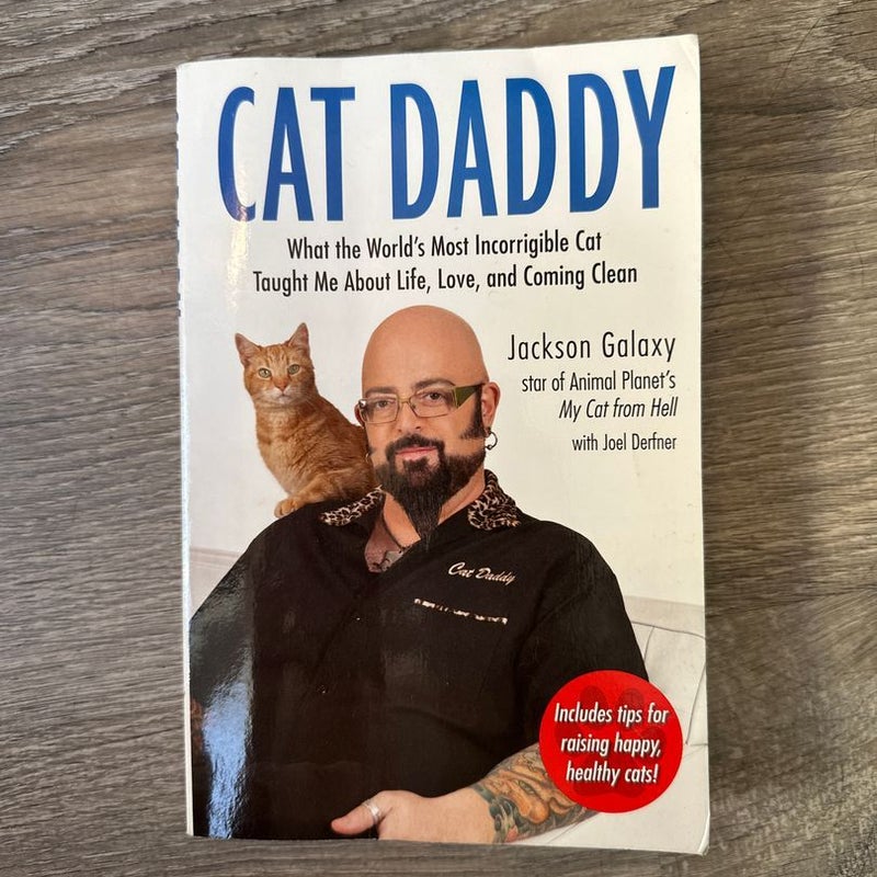 Cat Daddy