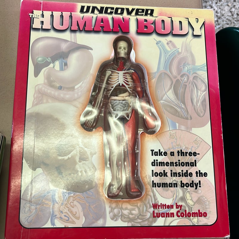 The Human Body