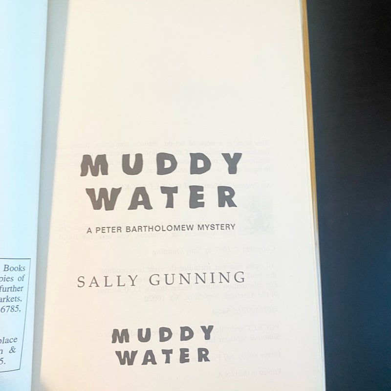 Muddy Water  3347