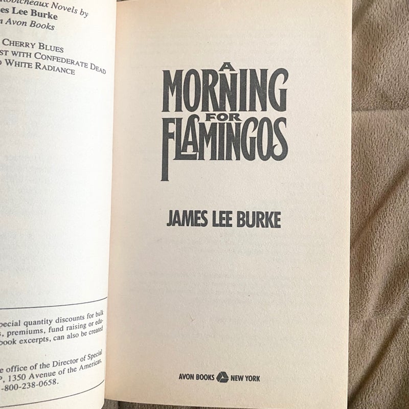 A Morning for Flamingos 530