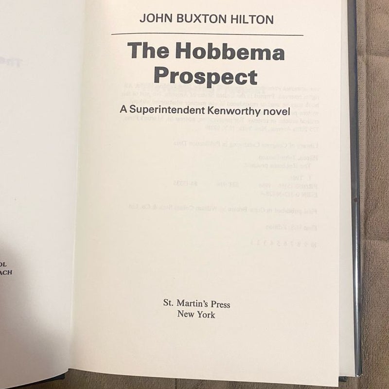 The Hobbema Prospect