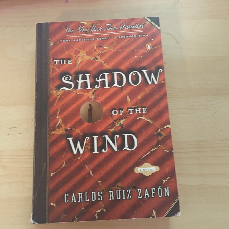 The Shadow of the Wind