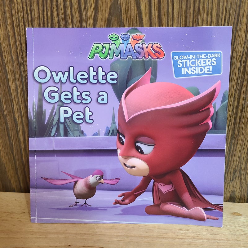 Owlette Gets a Pet