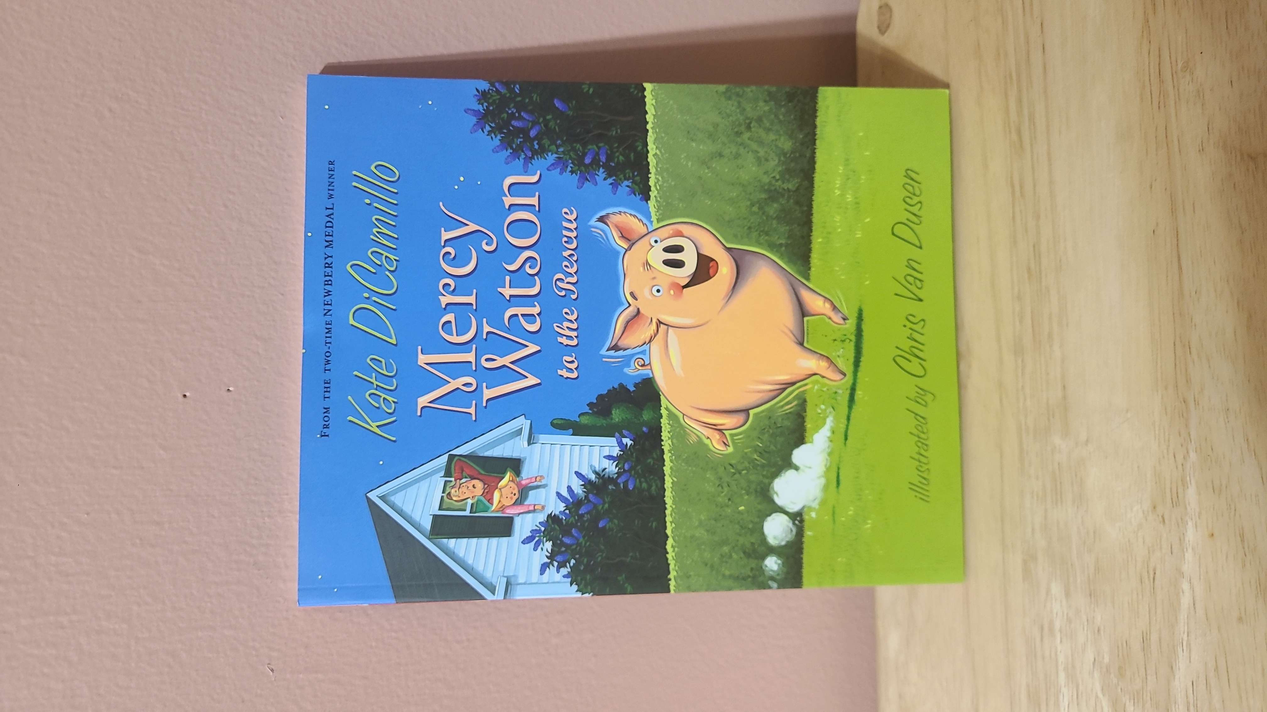 Sale image for e6c0ac14-5dc1-48c0-87f1-15a73037ad75-soB60IbmJxPjawjAeX7VL4ZD2Fn1