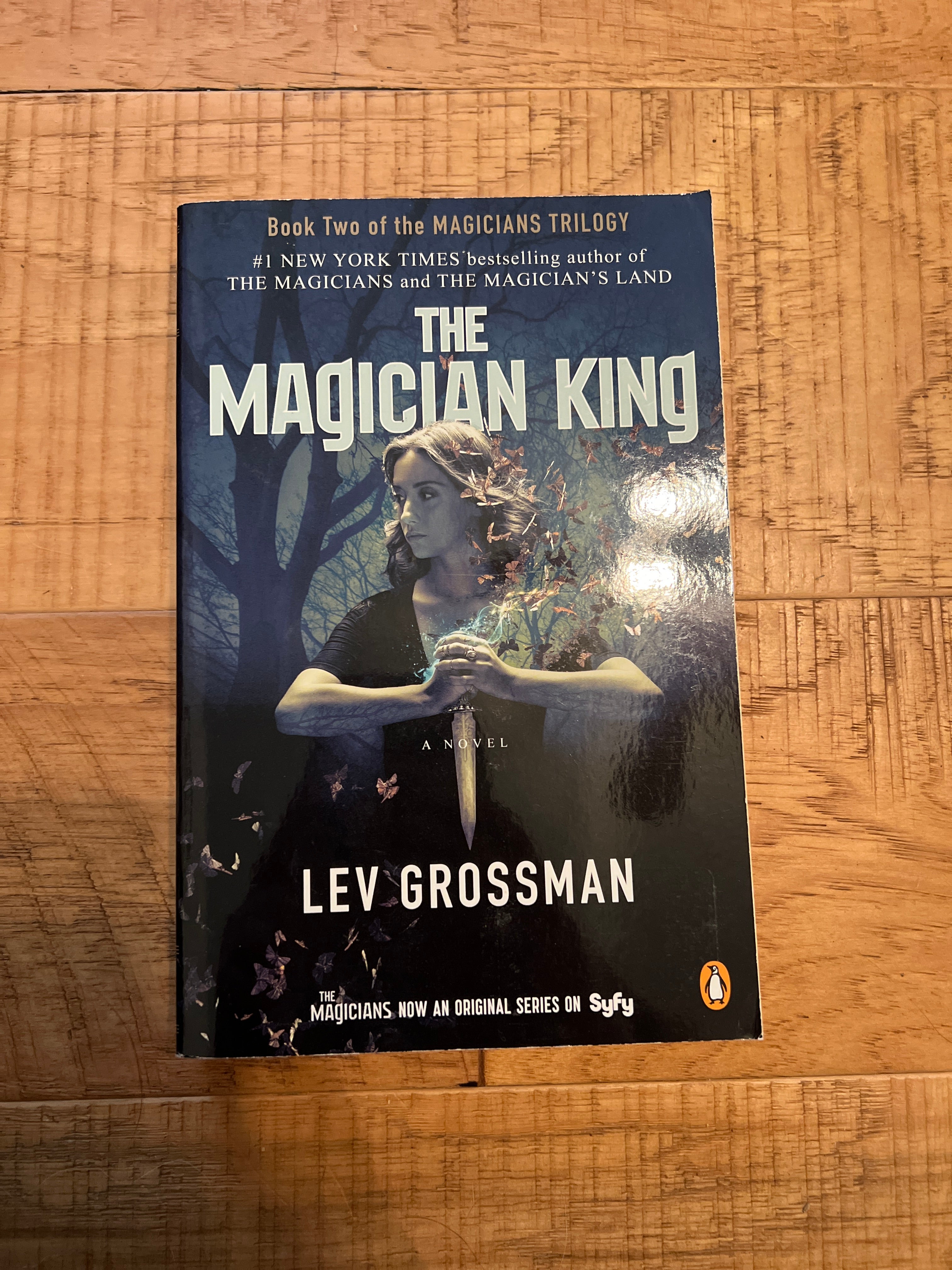 The Magician King (TV Tie-In)