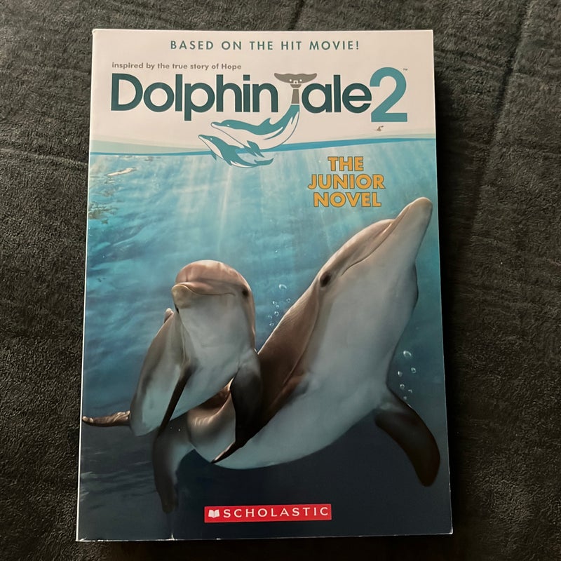 Dolphin Tale 2