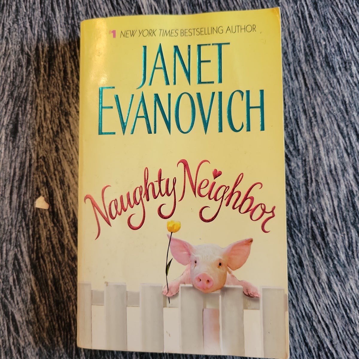 Naughty Neighbor by Janet Evanovich, Paperback | Pangobooks