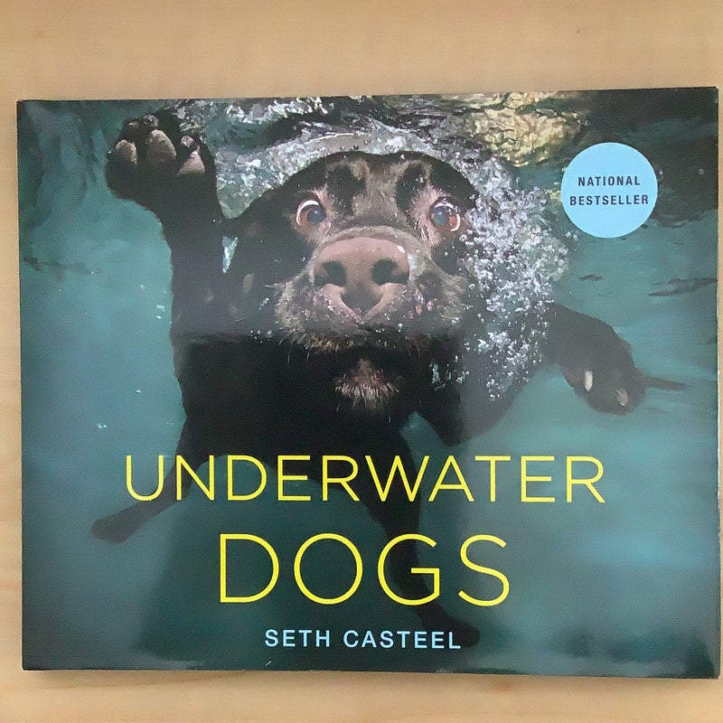 Underwater Dogs