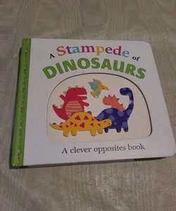 Picture Fit Board Books: a Stampede of Dinosaurs