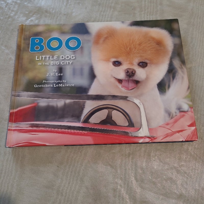Boo: Little Dog in the Big City
