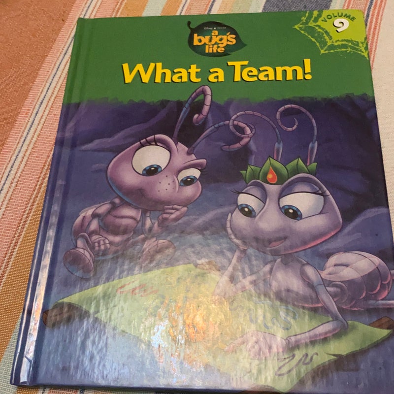 A Bug’s Life: What a Team!
