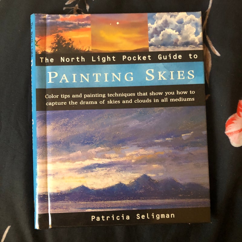 Painting Skies
