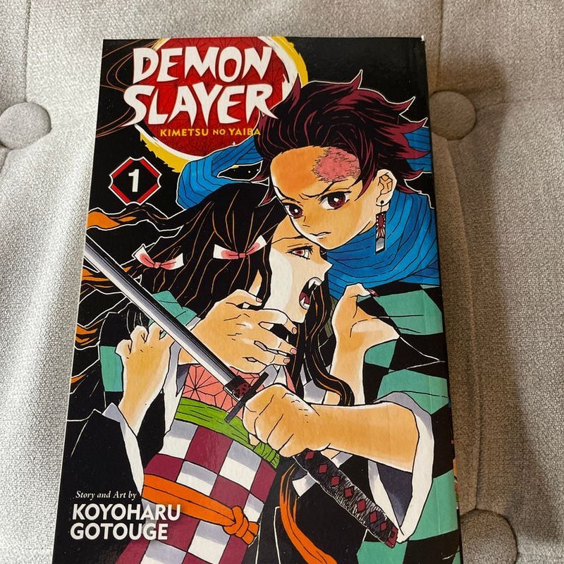 Demon Slayer: Kimetsu No Yaiba, Vol. 1