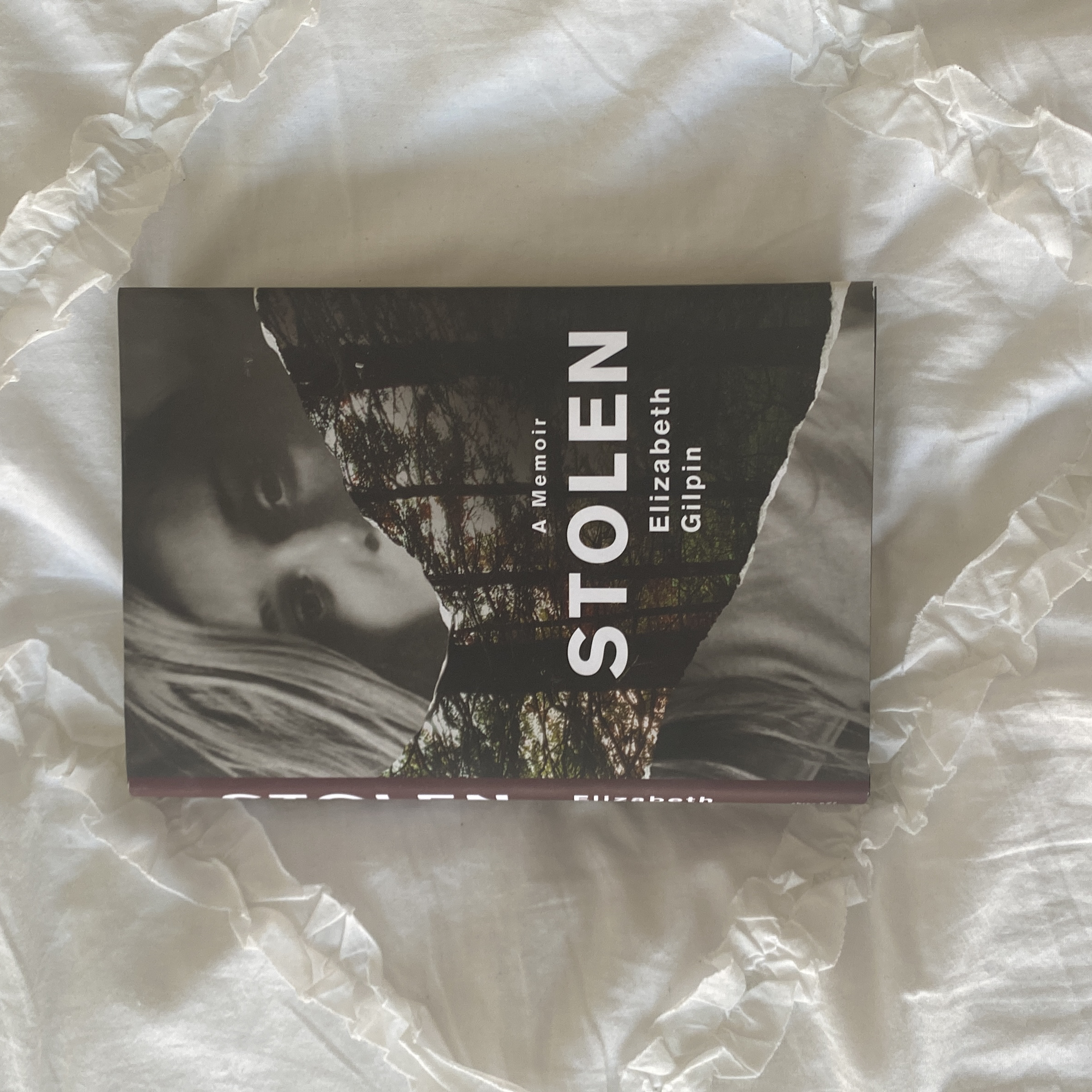 Stolen book cover