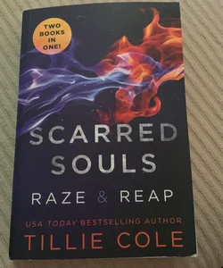 Scarred Souls: Raze and Reap