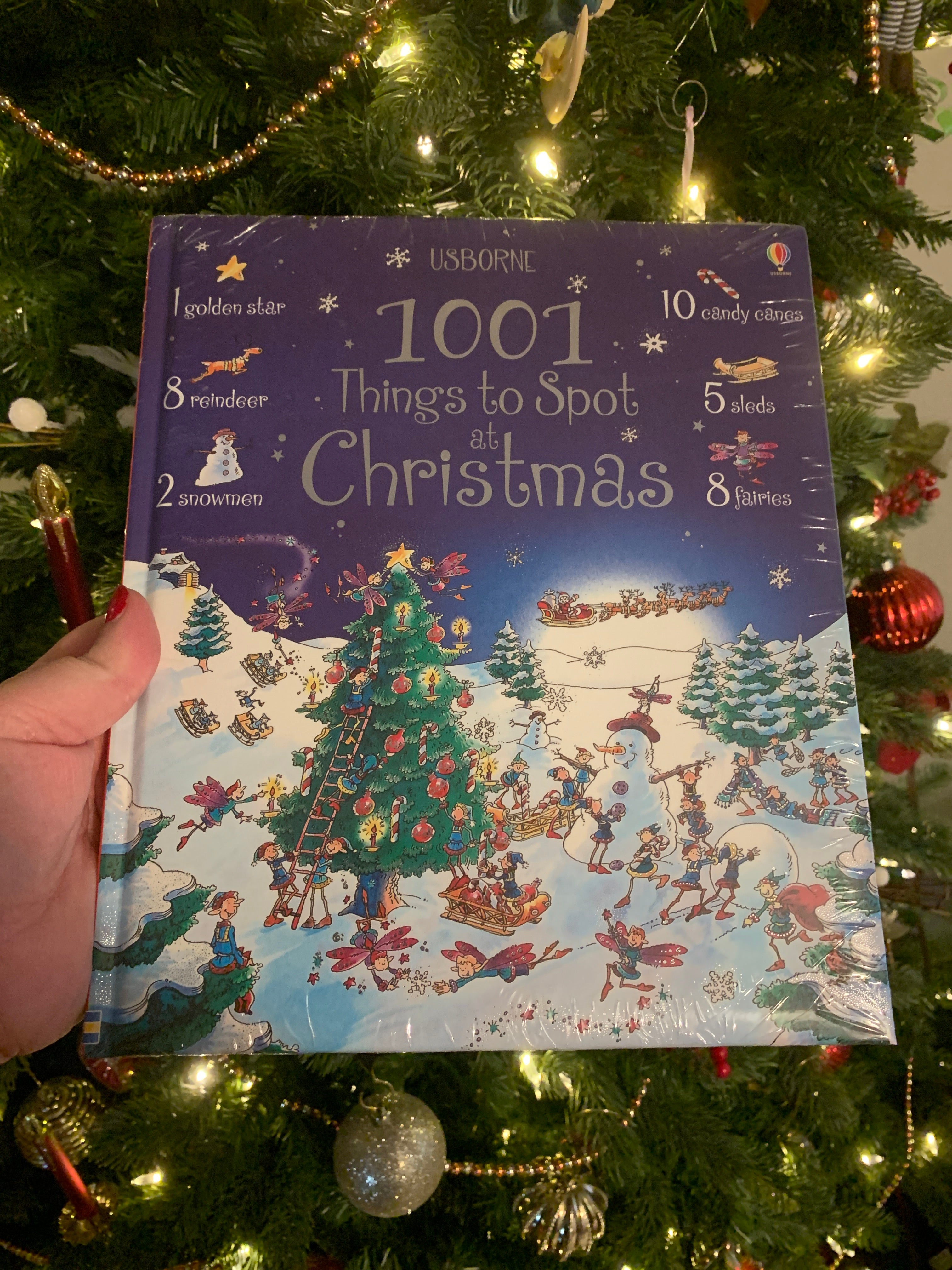 1001Things to Spot at Christmas