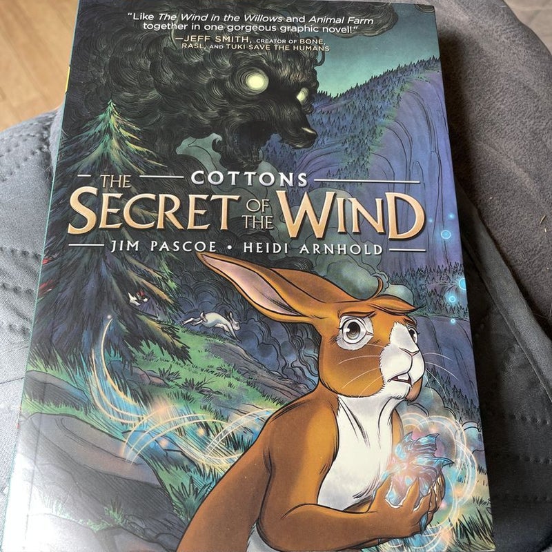 Cottons: the Secret of the Wind