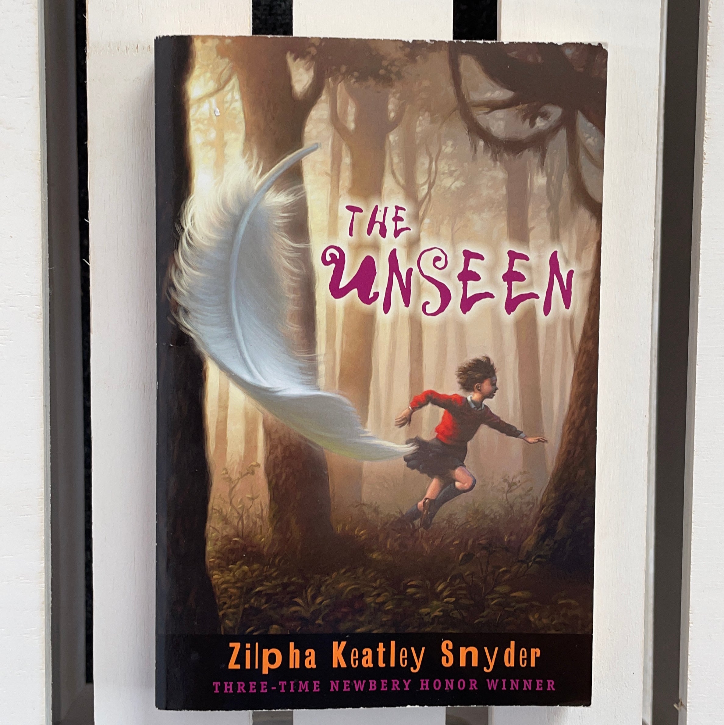 The Unseen By Zilpha Keatley Snyder