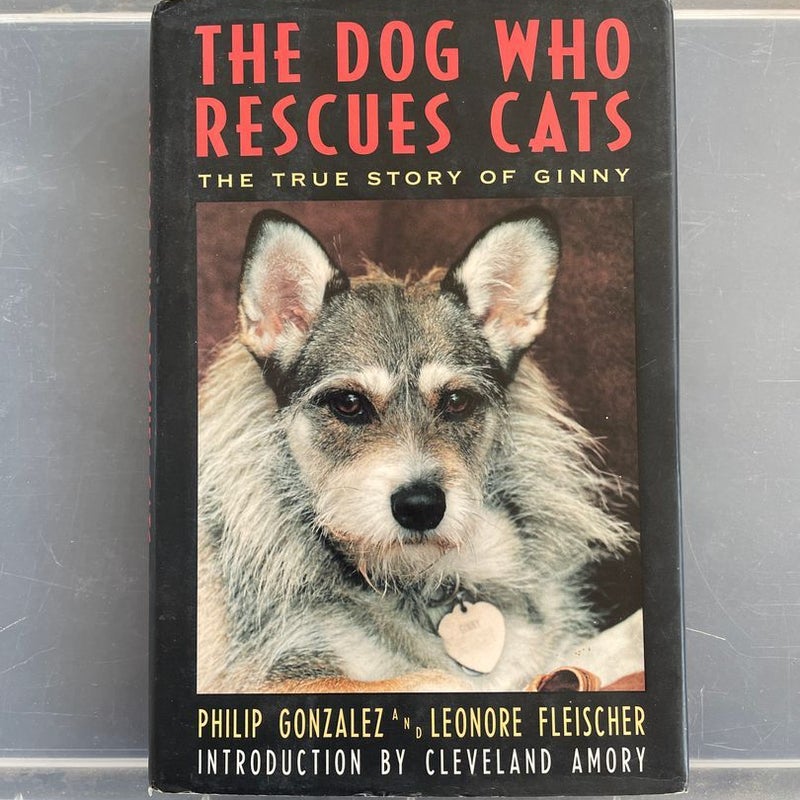 The Dog Who Rescues Cats