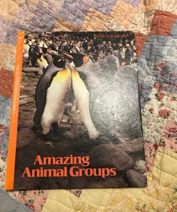 Amazing Animal Groups