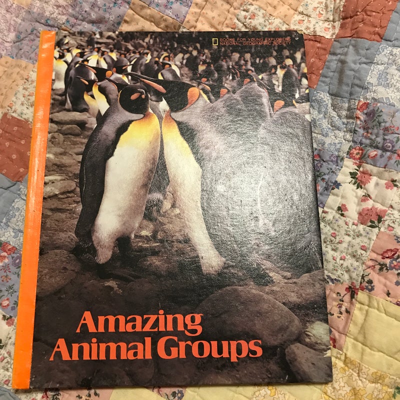 Amazing Animal Groups