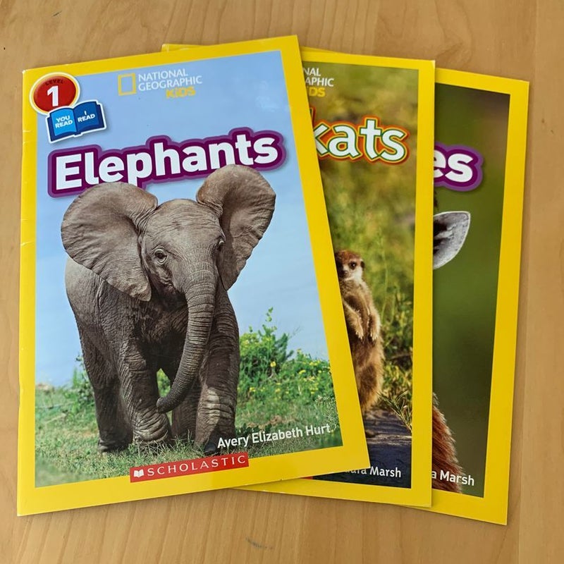 National Geographic Kids Readers: Animal Armor (L1)