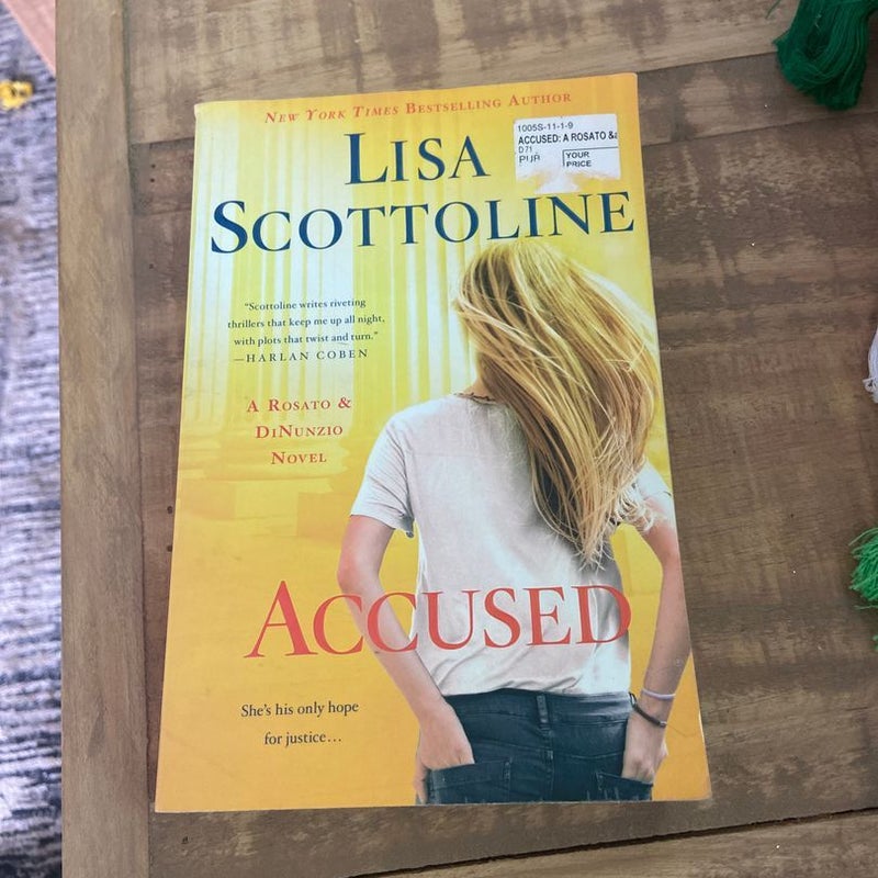 Accused: a Rosato and Dinunzio Novel