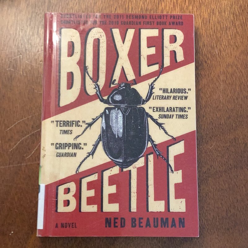 Boxer, Beetle