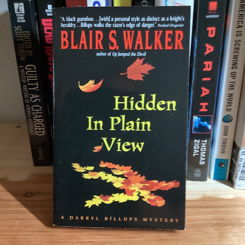 Hidden in Plain View