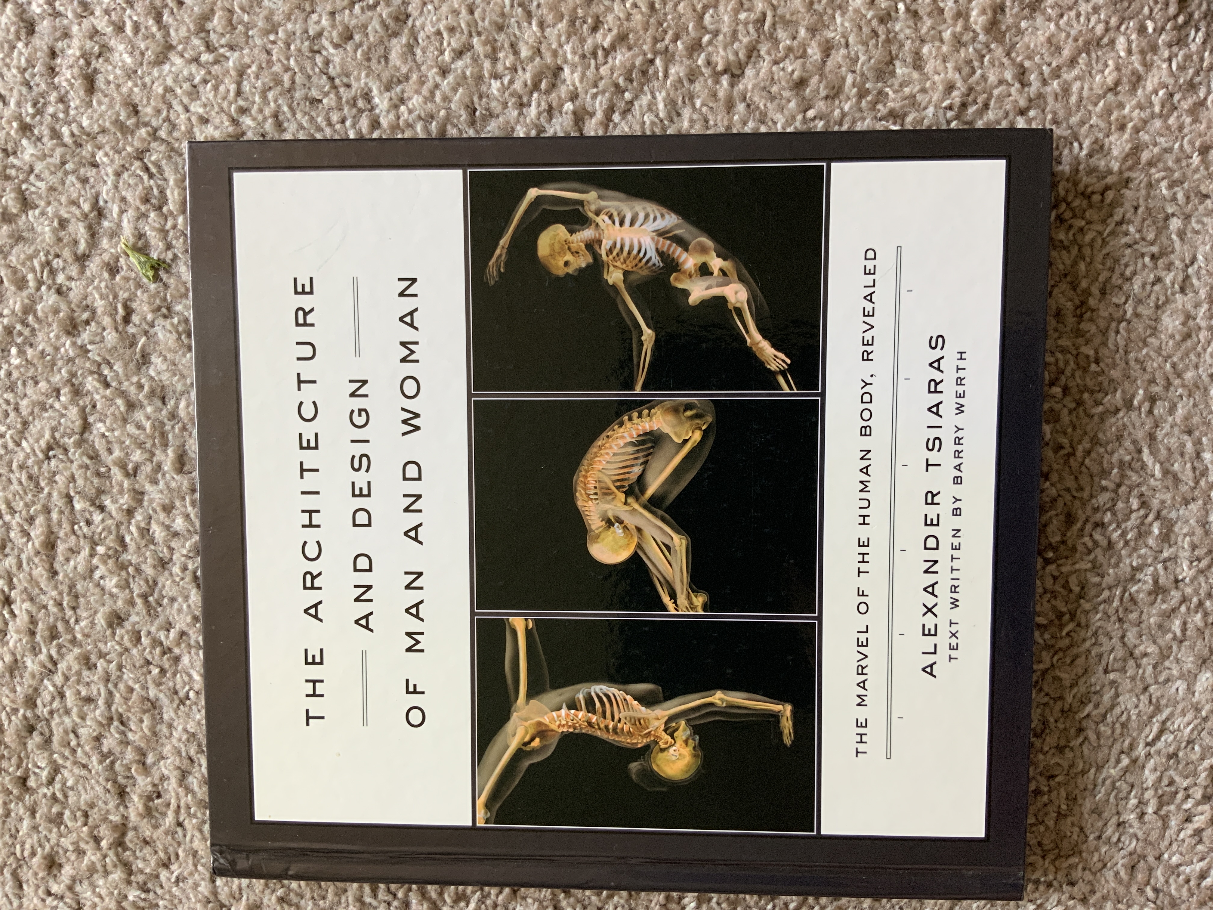 The Architecture and Design of Man and Woman