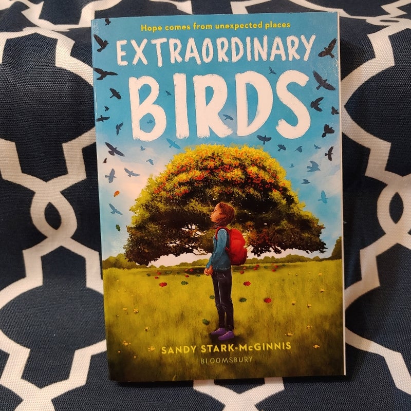 Extraordinary Birds