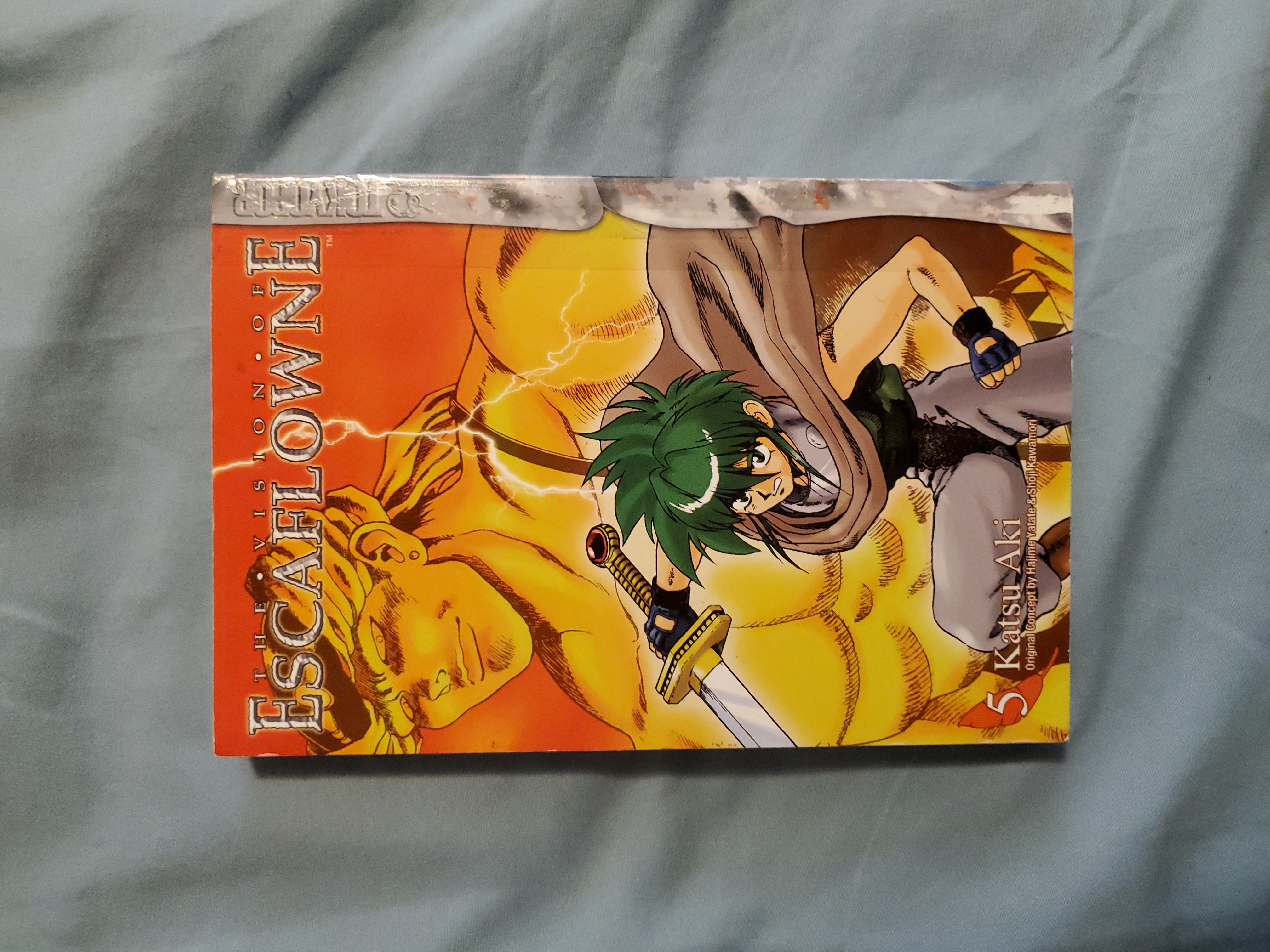 Vision of Escaflowne vol.5