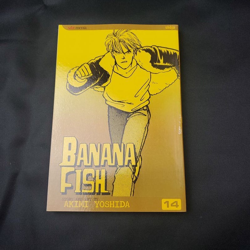 Banana Fish, Vol. 14