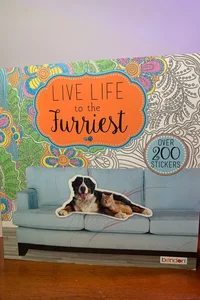 Live Life to the Furriest Coloring/Sticker book
