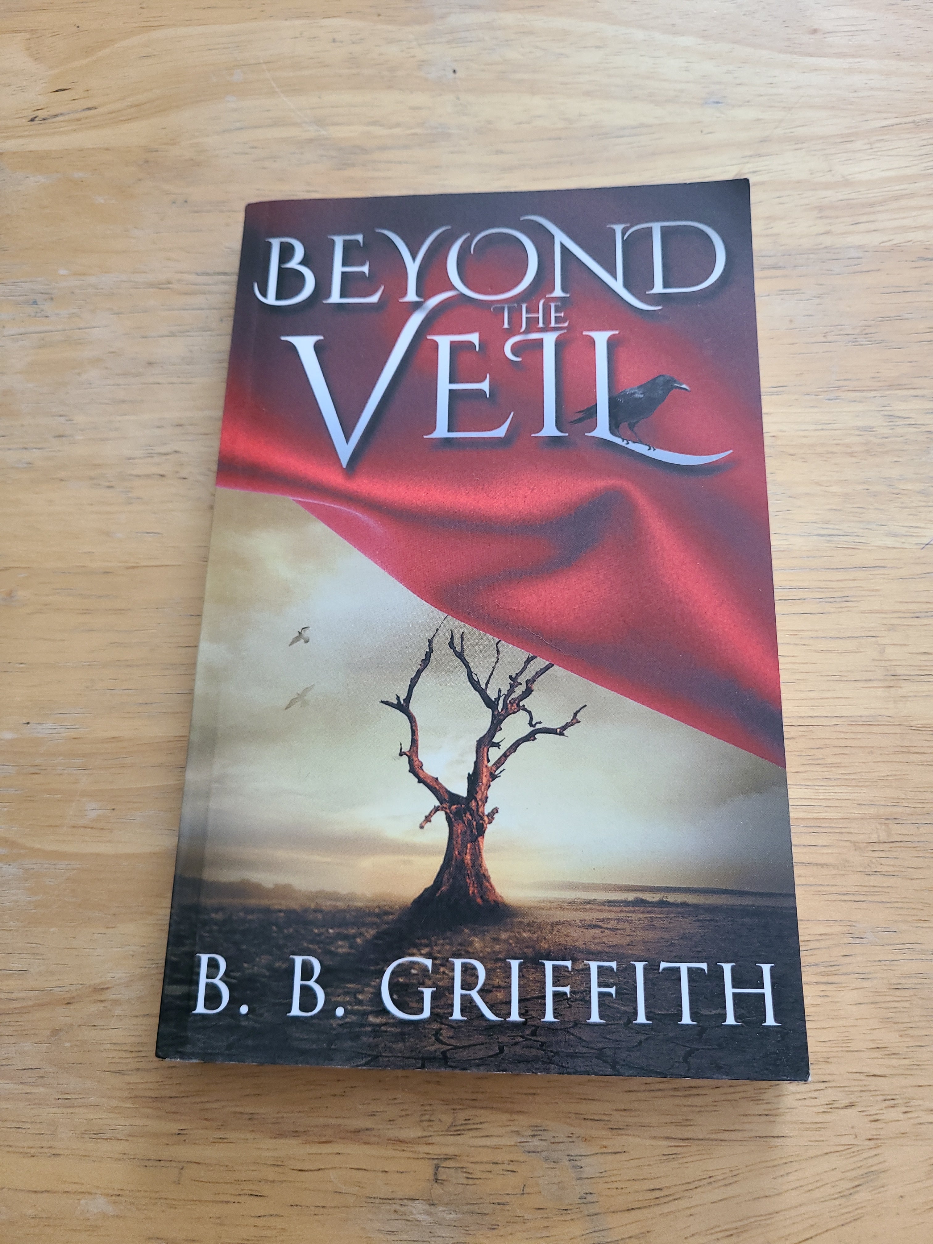 Beyond the Veil (Vanished, #2)