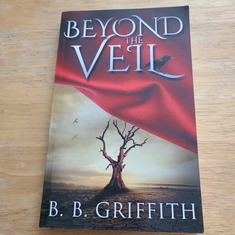 Beyond the Veil (Vanished, #2)