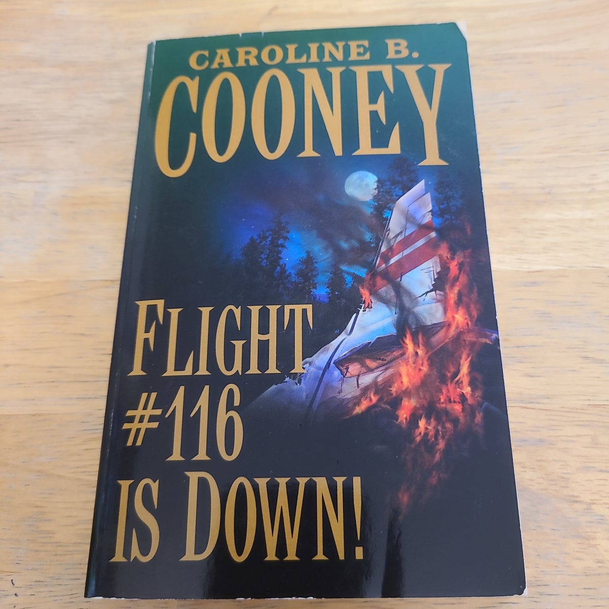 Flight #116 Is Down! by Caroline B. Cooney, Paperback | Pangobooks
