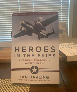 Heroes in the Skies