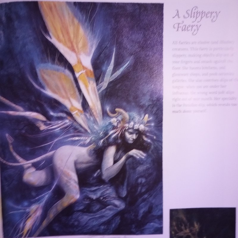 Good Faeries Bad Faeries by Brian Froud, Hardcover | Pangobooks