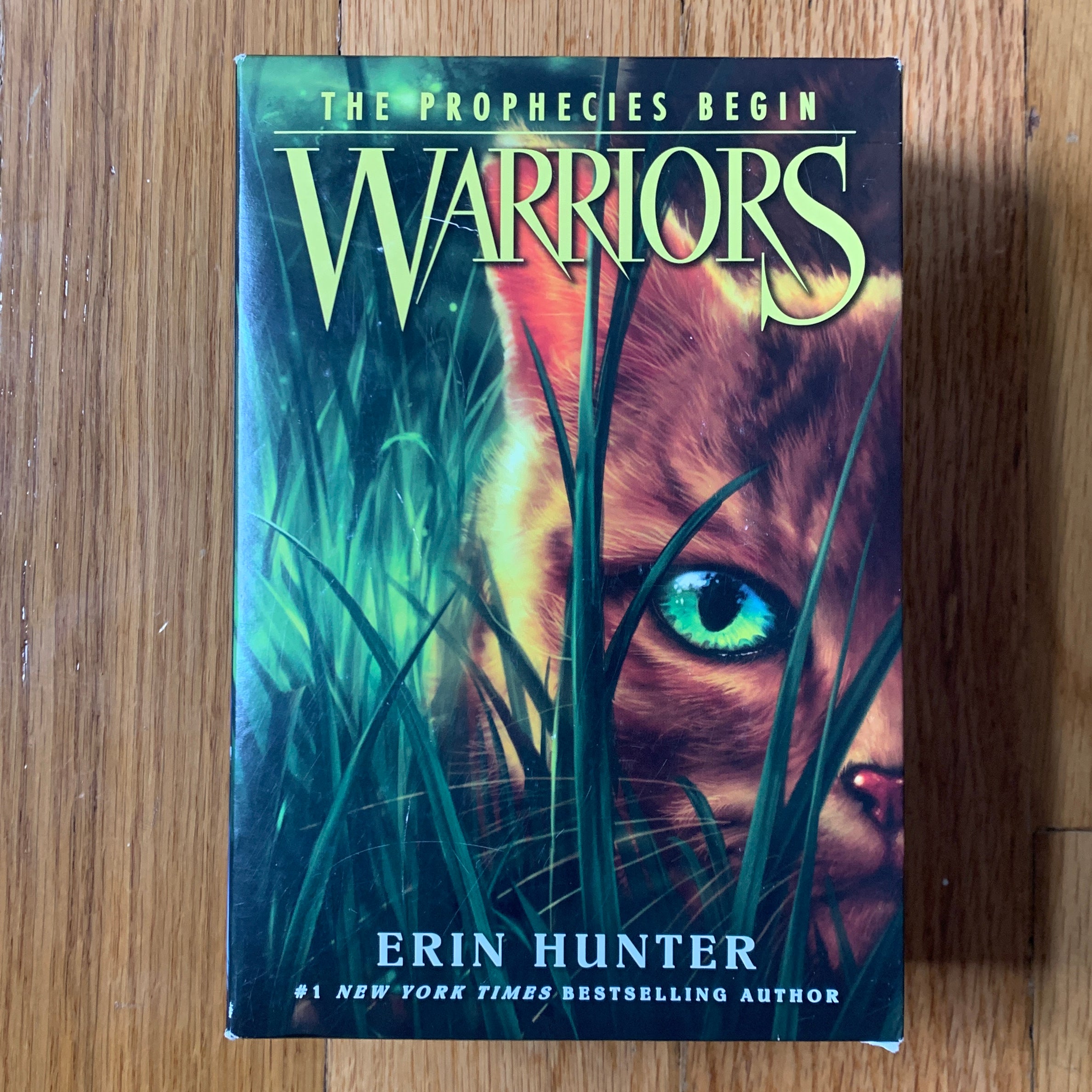 Warriors Box Set: Volumes 1 To 3