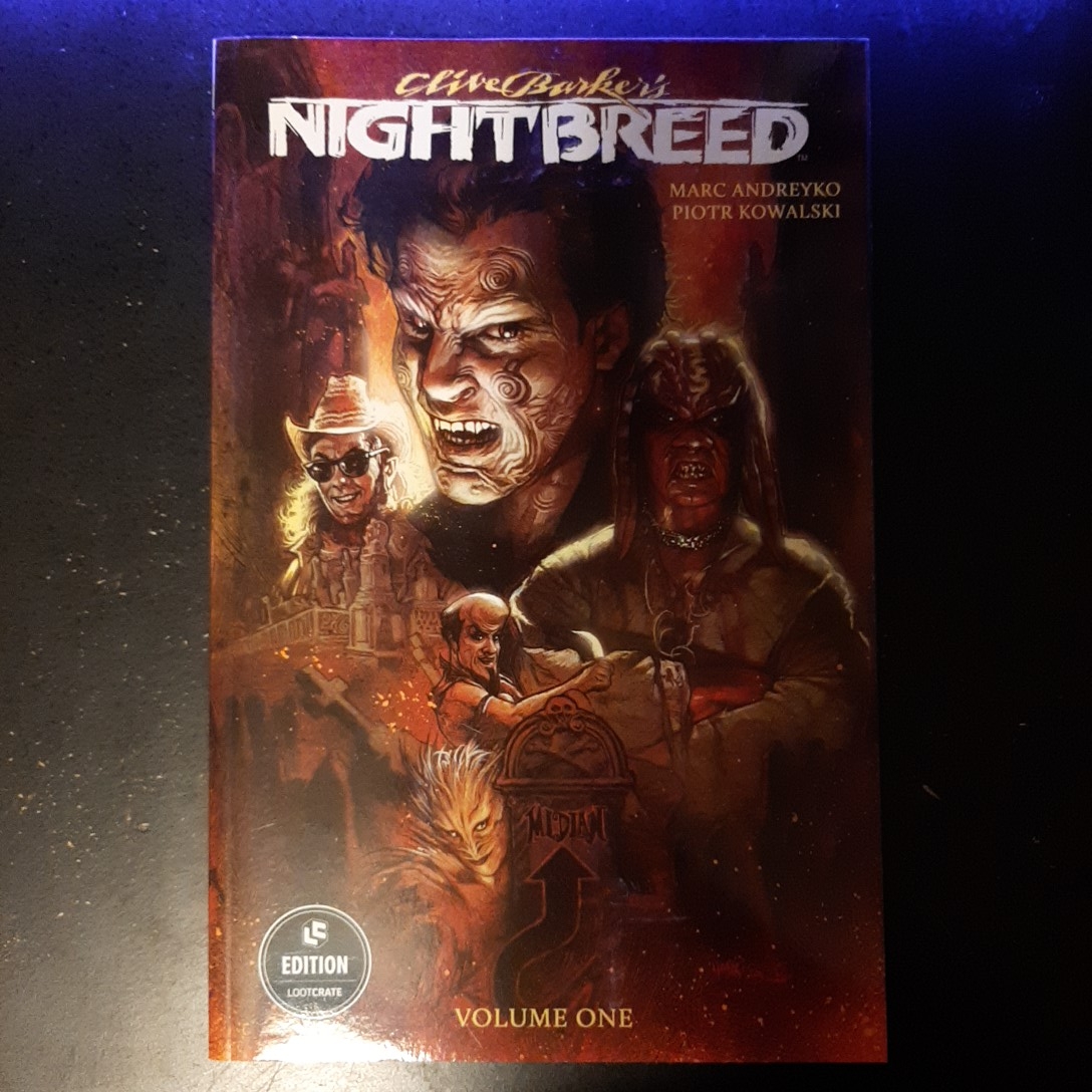 Batwoman Vol. 5: Webs (the New 52)