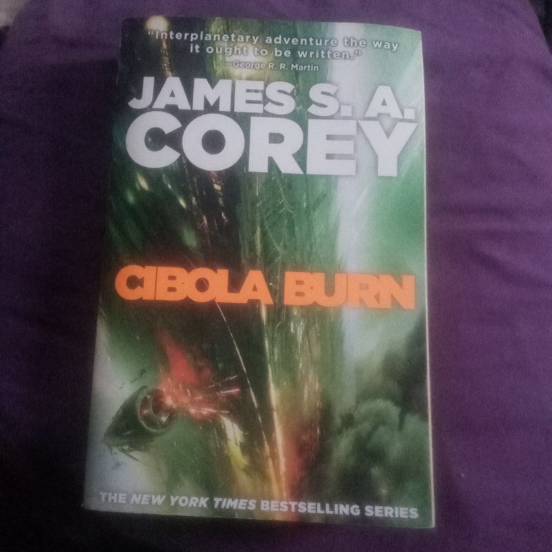 Cibola Burn