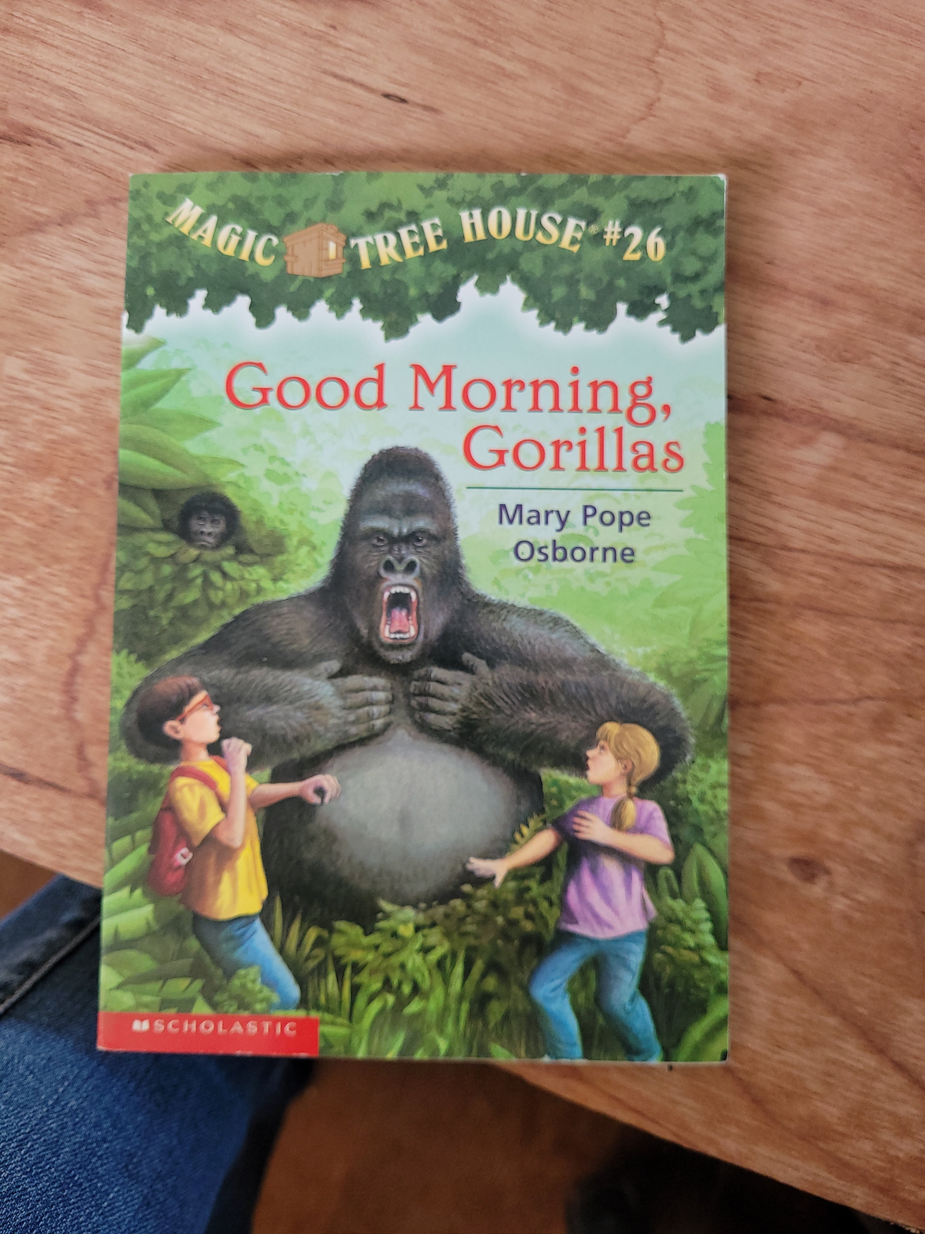 Good Morning, Gorillas