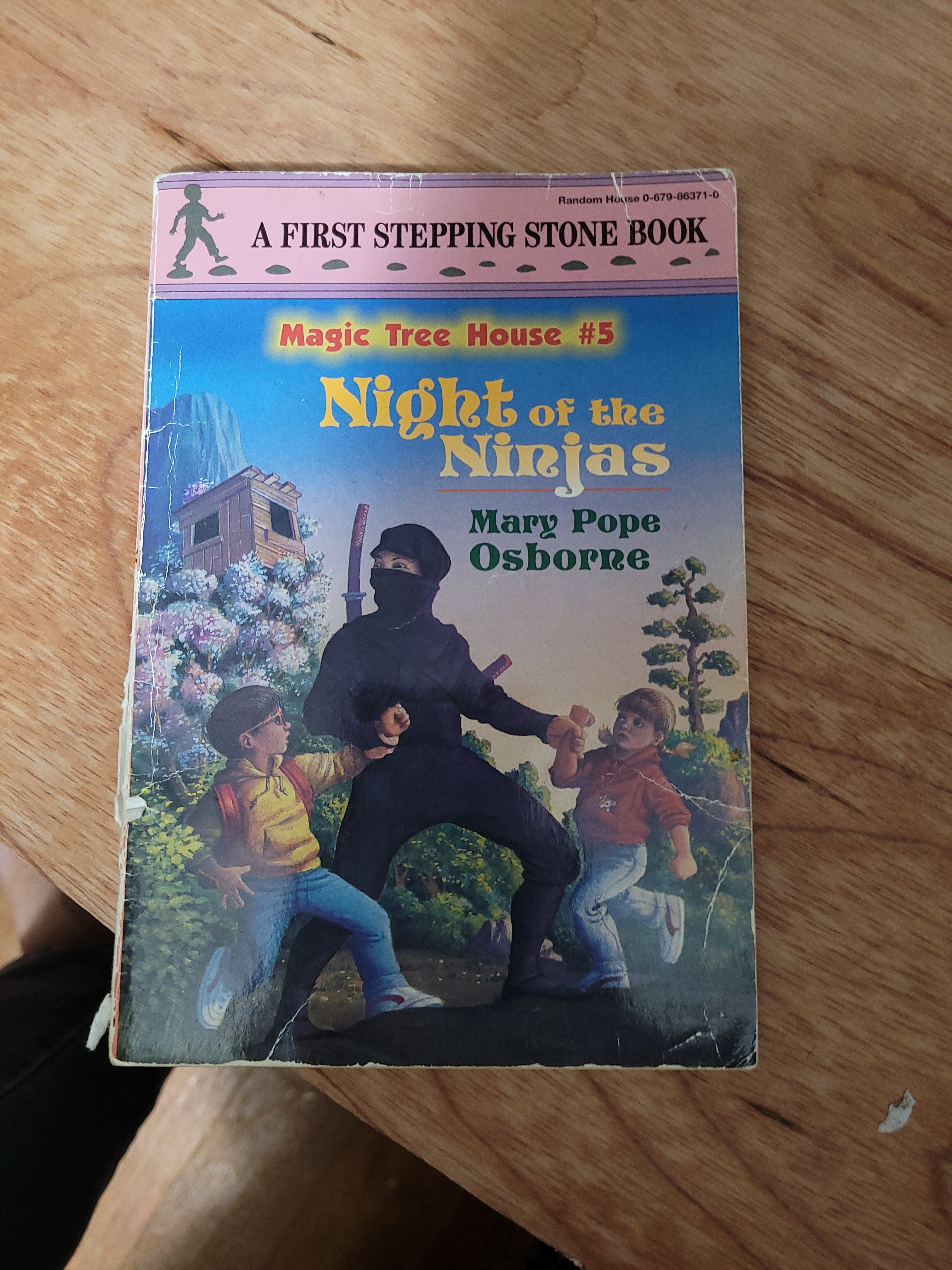 Night of the Ninjas