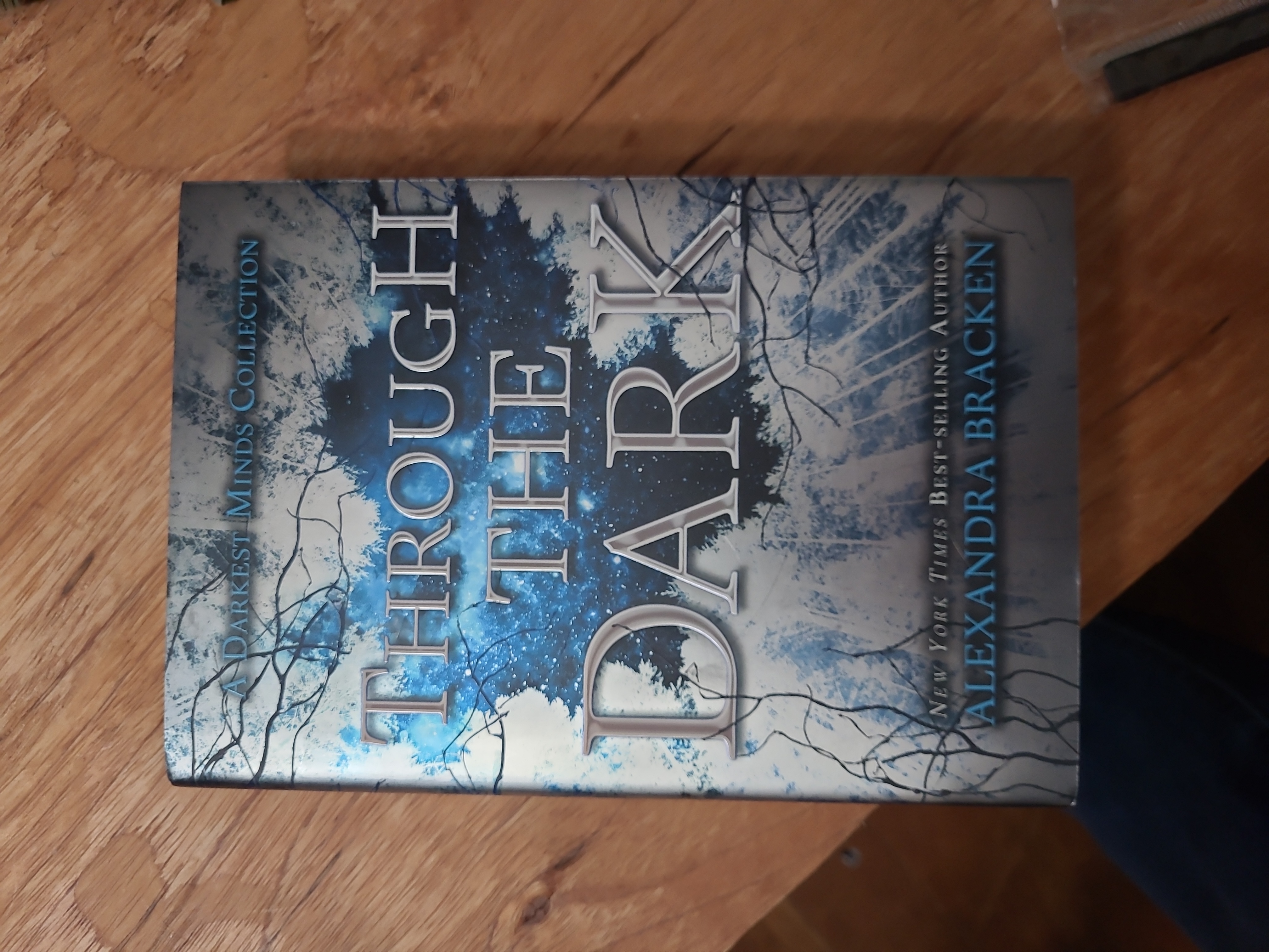 Through the Dark (a Darkest Minds Collection)