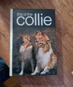 This Is the Collie