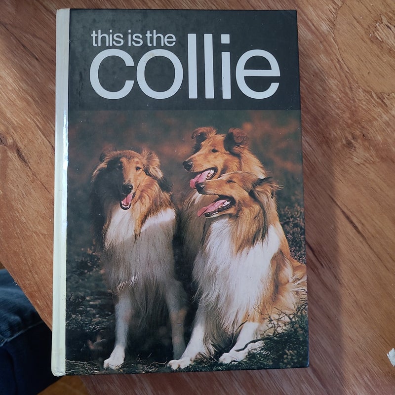 This Is the Collie